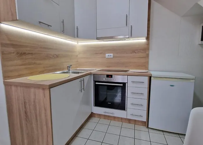 B 彼得罗瓦茨纳米拉维